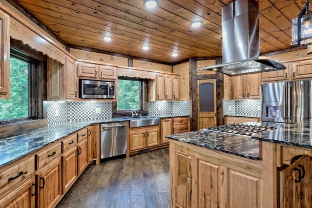 kitchen with appliances with stainless steel finishes, plenty of natural light, dark wood-type flooring, and sink