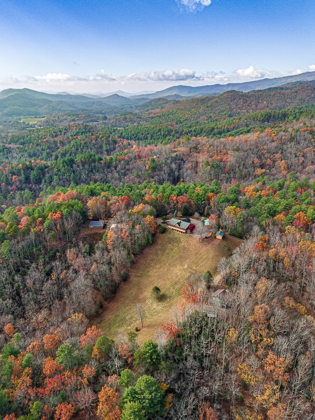 birds eye view of property with a mountain view