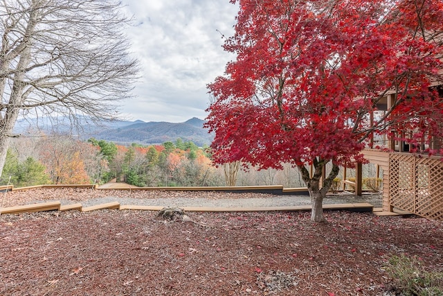 view of yard with a mountain view