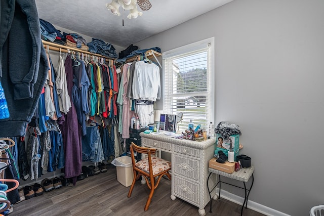 walk in closet featuring wood finished floors