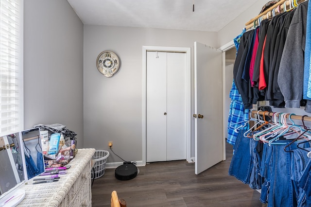 walk in closet featuring wood finished floors