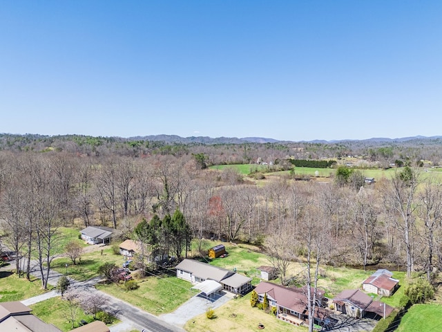 aerial view of a forest