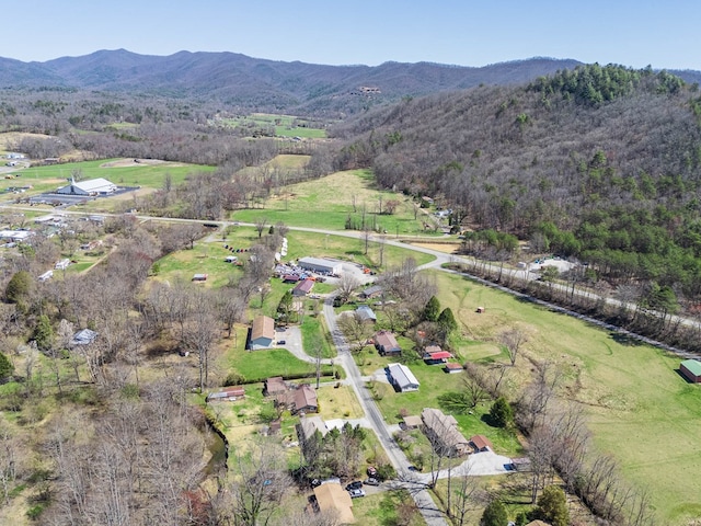 view of property location with a mountainous background and rural landscape