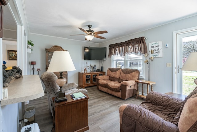 living room with plenty of natural light, a ceiling fan, light wood-type flooring, and crown molding
