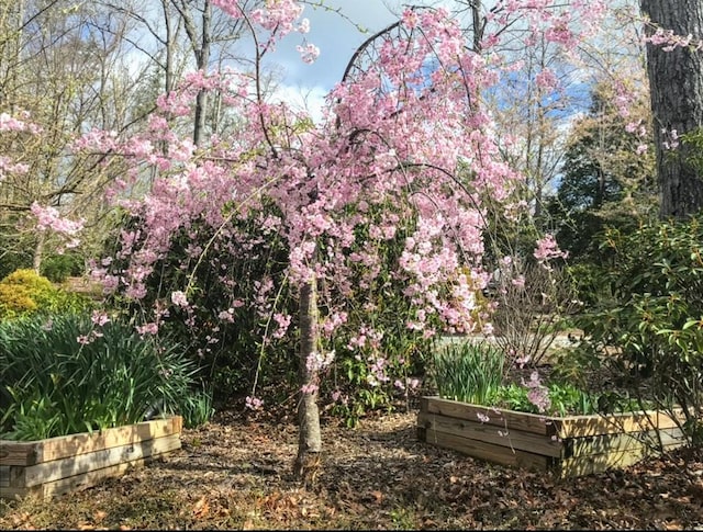 view of nature