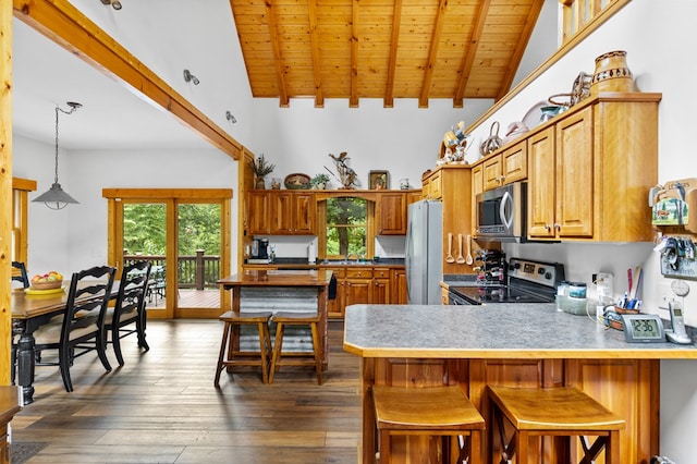 kitchen with stainless steel appliances, plenty of natural light, beamed ceiling, and kitchen peninsula