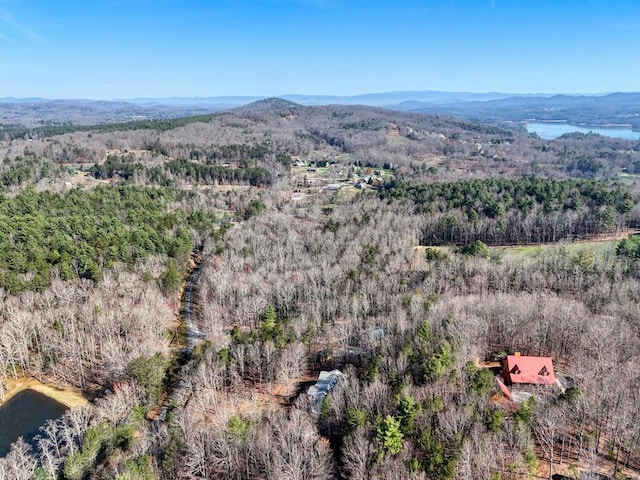 birds eye view of property featuring a mountain view