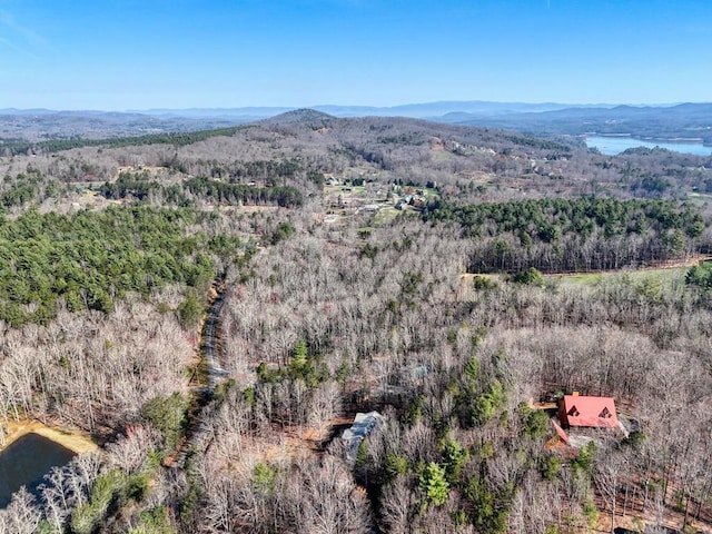 35 Deer Run Rd, Blairsville, GA 30512 - aerial overview of property's location featuring a water and mountain view and a forest