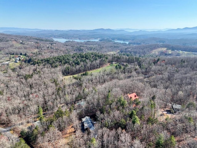 bird's eye view featuring a mountain view