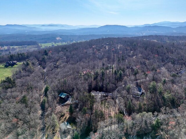 drone / aerial view featuring a mountain view