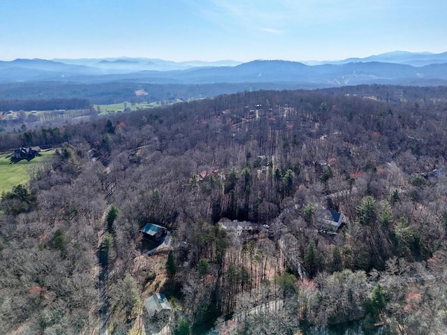 35 Deer Run Rd, Blairsville, GA 30512 - view of property location with a mountain backdrop and a forest