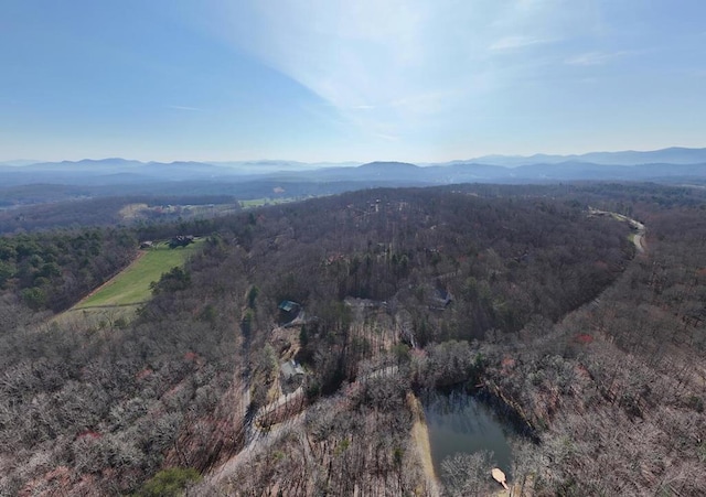 birds eye view of property with a water and mountain view