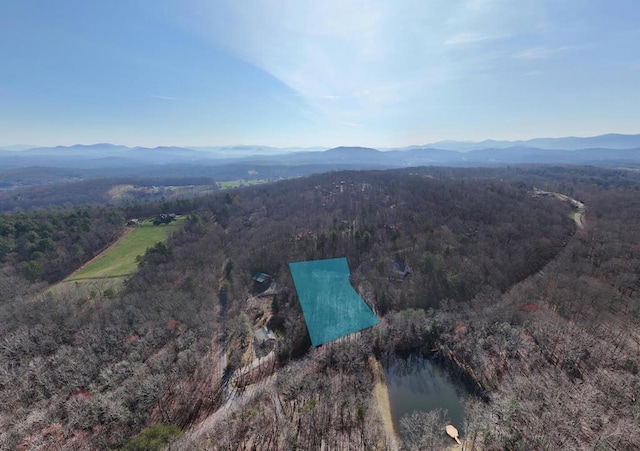 birds eye view of property featuring a mountain view