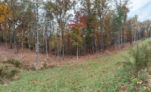 Listing photo 2 for LOT41 Ridge Dr, Morganton GA 30560