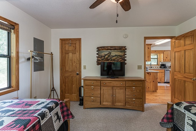 40 White Cloud Dr, Murphy, NC 28906 - bedroom with light carpet, multiple windows, and ceiling fan