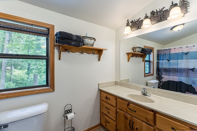40 White Cloud Dr, Murphy, NC 28906 - bathroom featuring vanity, lofted ceiling, and a textured wall