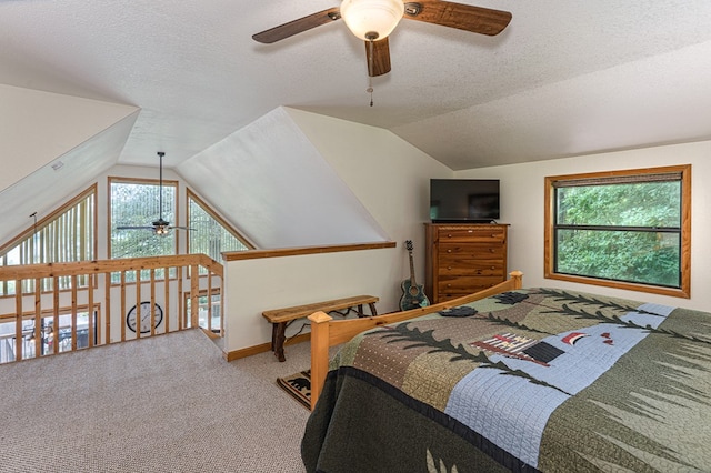 40 White Cloud Dr, Murphy, NC 28906 - bedroom featuring lofted ceiling, carpet floors, multiple windows, and a textured ceiling