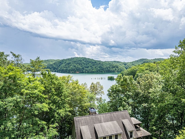 40 White Cloud Dr, Murphy, NC 28906 - water view featuring a forest