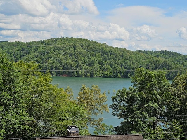 40 White Cloud Dr, Murphy, NC 28906 - water view with a heavily wooded area