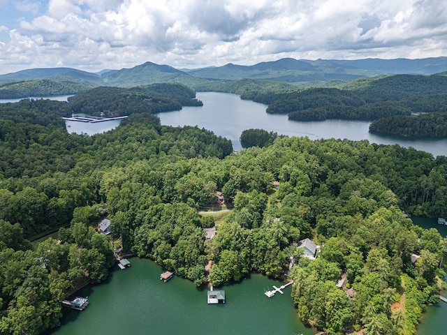 40 White Cloud Dr, Murphy, NC 28906 - drone / aerial view of a water and mountain view and a forest