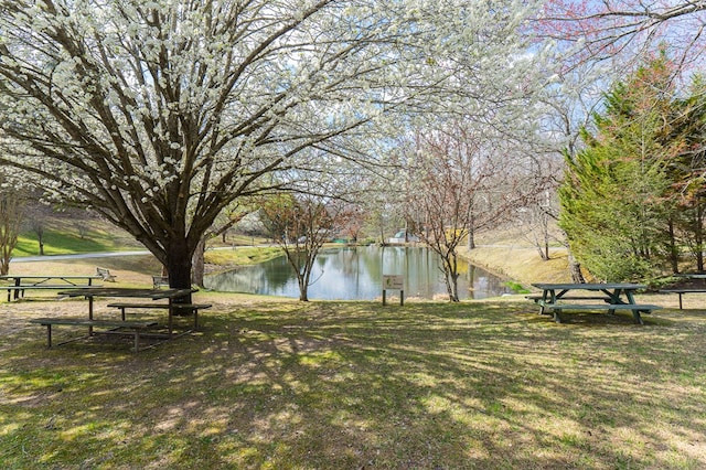 40 White Cloud Dr, Murphy, NC 28906 - view of grassy yard with a water view