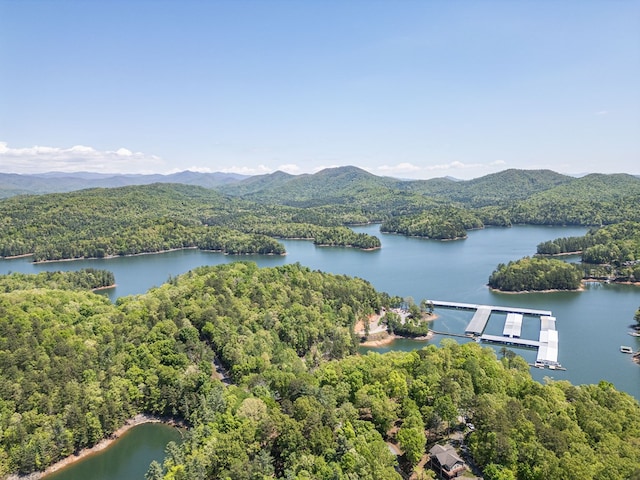 40 White Cloud Dr, Murphy, NC 28906 - aerial view of a water and mountain view