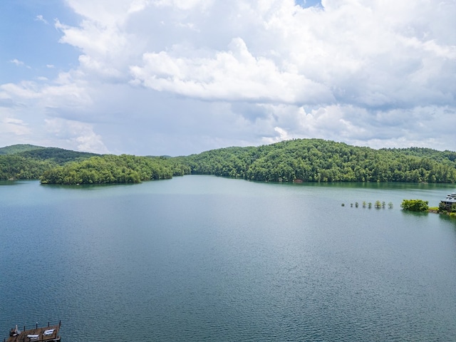 40 White Cloud Dr, Murphy, NC 28906 - water view featuring a heavily wooded area