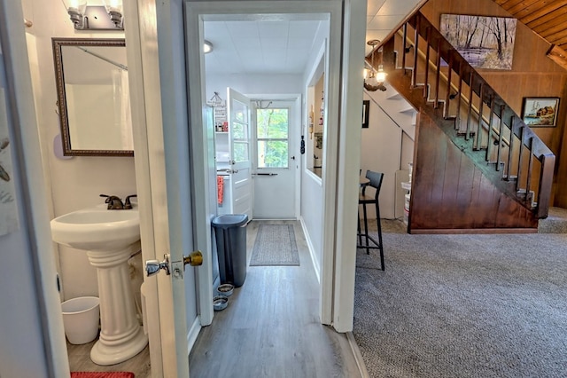 hallway featuring carpet floors