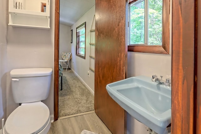 bathroom with wood-type flooring, sink, and toilet