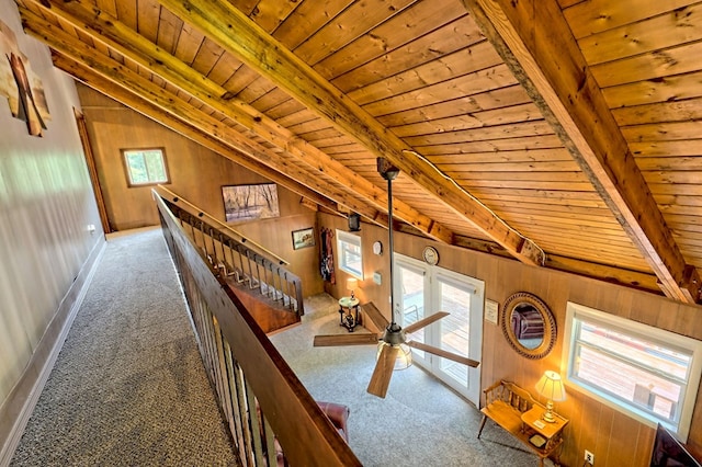 corridor featuring carpet, a healthy amount of sunlight, wood ceiling, and wood walls