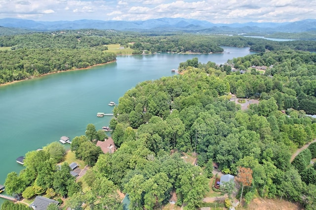 bird's eye view featuring a water and mountain view