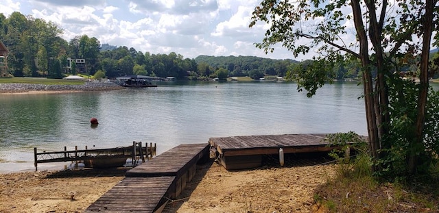 dock area featuring a water view