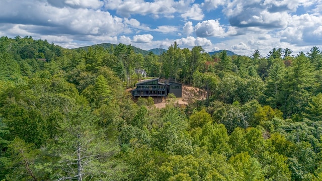 birds eye view of property featuring a mountain view and a forest view