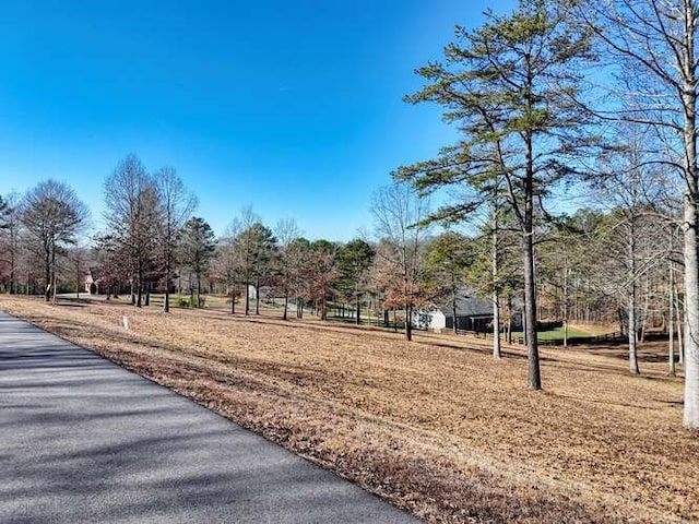 Listing photo 3 for LOT75 Owen Gln, Blairsville GA 30512