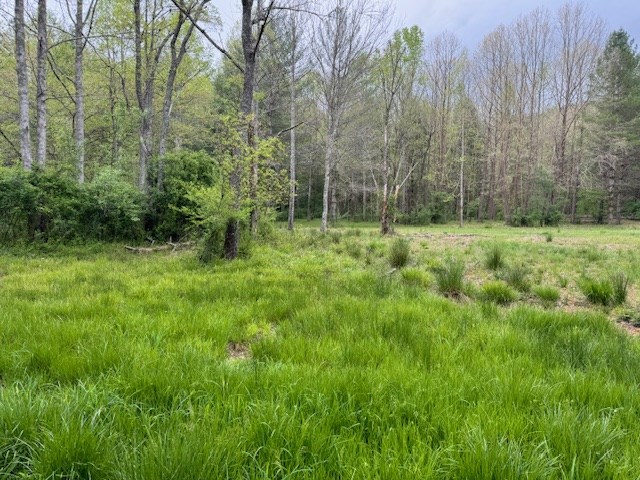 Listing photo 2 for 3.92ACRE Double Creek Dr, Suches GA 30572