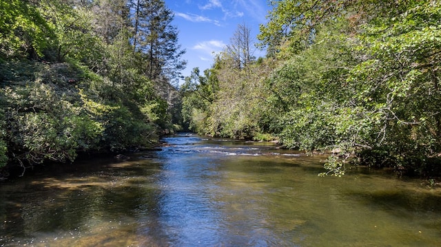 water view featuring a forest view