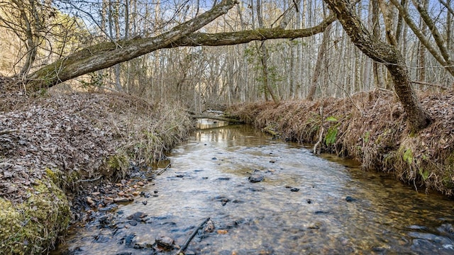 view of local wilderness