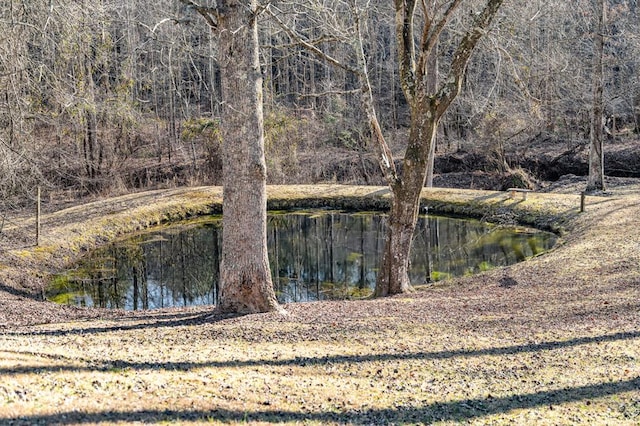 view of local wilderness with a water view