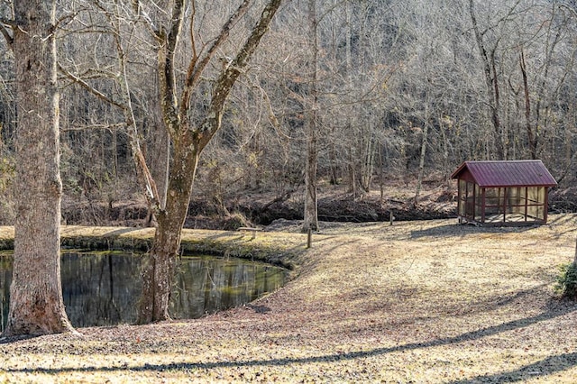 view of yard with a water view