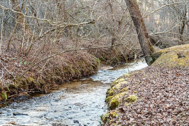 view of nature