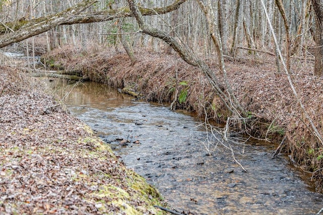 view of local wilderness