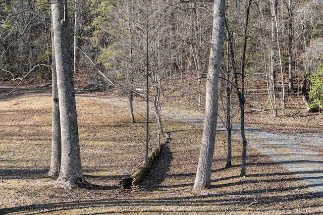 view of landscape