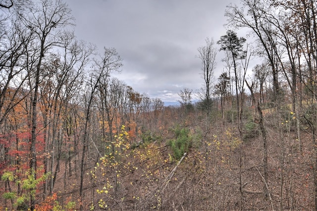 view of local wilderness