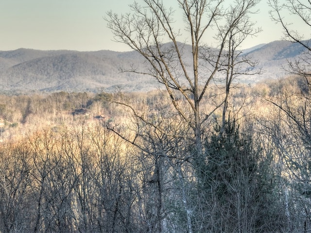 view of mountain feature