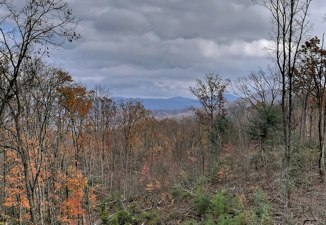 view of mountain feature