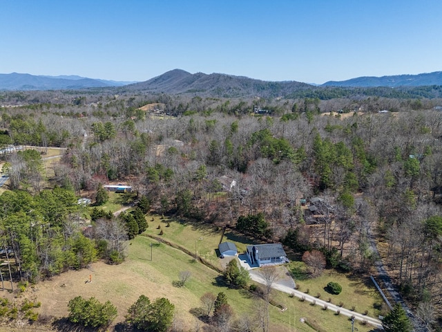 bird's eye view with a mountain view and a view of trees