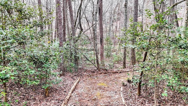 view of local wilderness featuring a view of trees