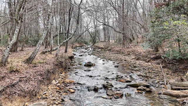 view of local wilderness featuring a forest view