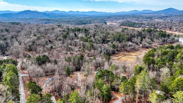 drone / aerial view featuring a wooded view and a mountain view