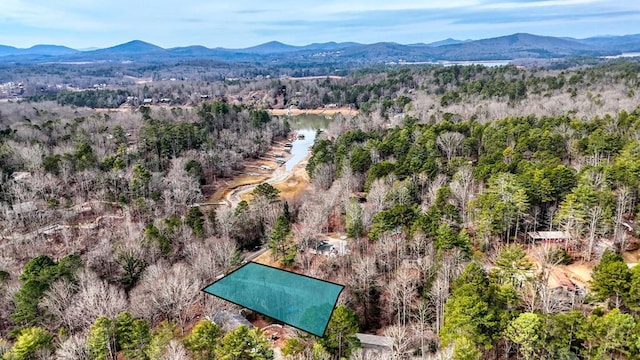 drone / aerial view with a view of trees and a water and mountain view